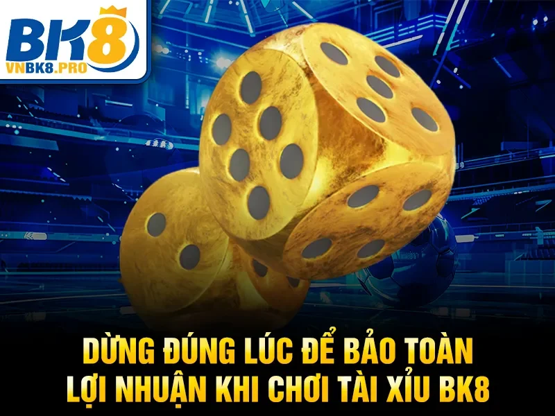 Dừng đúng lúc để bảo toàn lợi nhuận khi chơi Tài Xỉu BK8